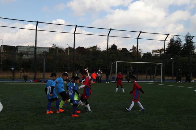 新赛季法甲前瞻：大巴黎无可撼动 身后5队激战